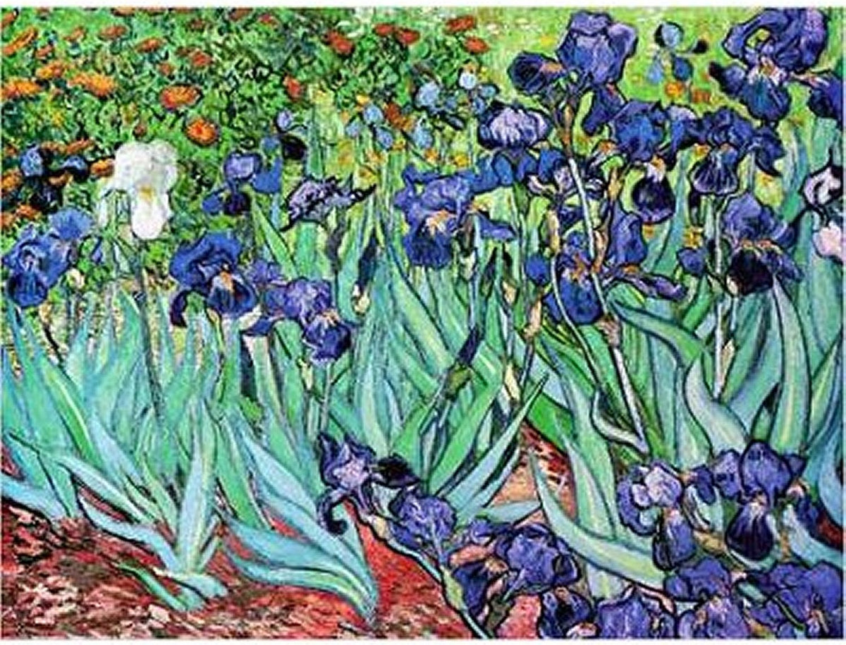 Artwork: Iris by Van Gogh – 1000 Piece Jigsaw Puzzle (Dtoys)