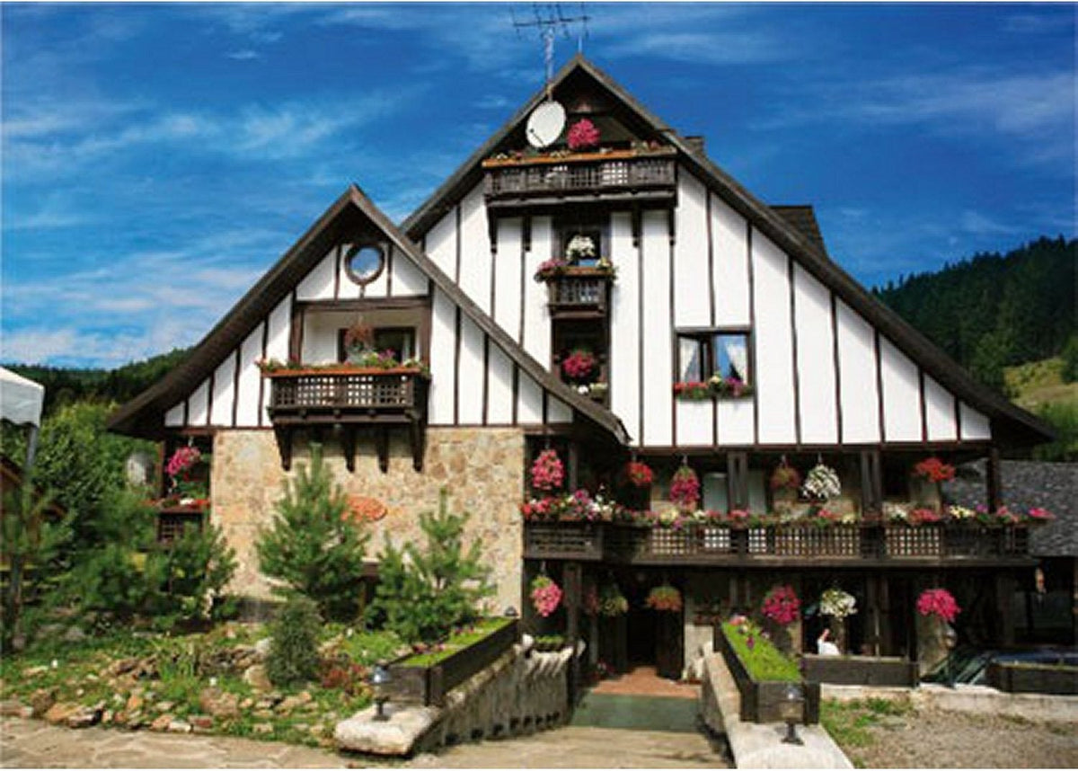 Artwork: Romania: Plai de dor Hotel, Bucovine – 1000 Piece Jigsaw Puzzle (Dtoys)