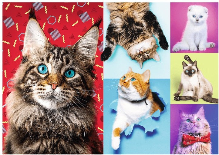Artwork: Happy Cats – 1000 Piece Jigsaw Puzzle (Trefl)