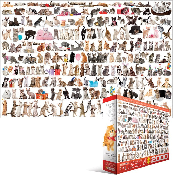 Artwork: The World of Cats – 2000 Piece Jigsaw Puzzle (Eurographics)