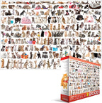 Artwork: The World of Cats – 2000 Piece Jigsaw Puzzle (Eurographics)