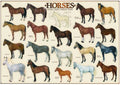 Artwork: Horses – 1000 Piece Jigsaw Puzzle (Eurographics)