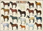 Artwork: Horses – 1000 Piece Jigsaw Puzzle (Eurographics)