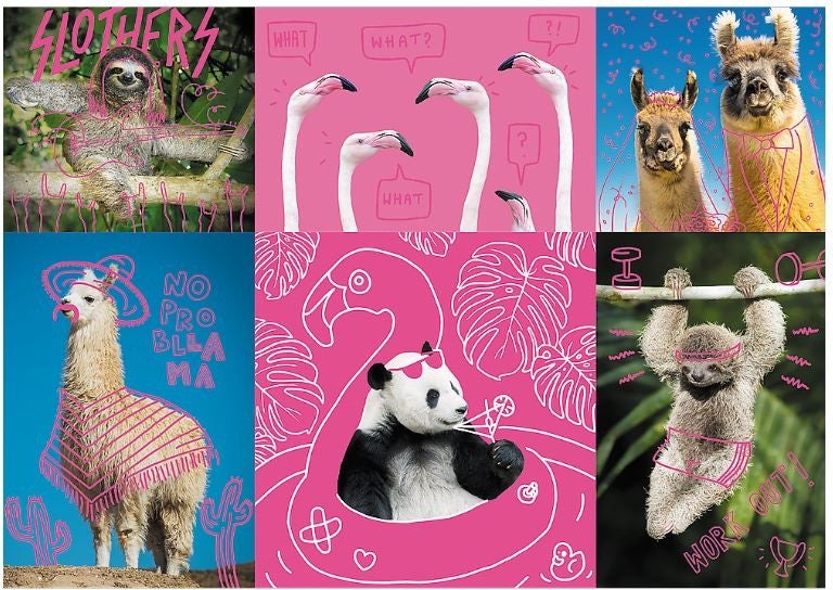 Artwork: Crazy Pets – 1000 Piece Jigsaw Puzzle (Trefl)