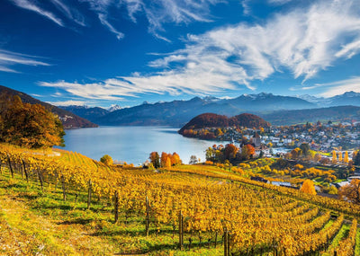 Vineyards – 2000 Piece Jigsaw Puzzle (Schmidt)