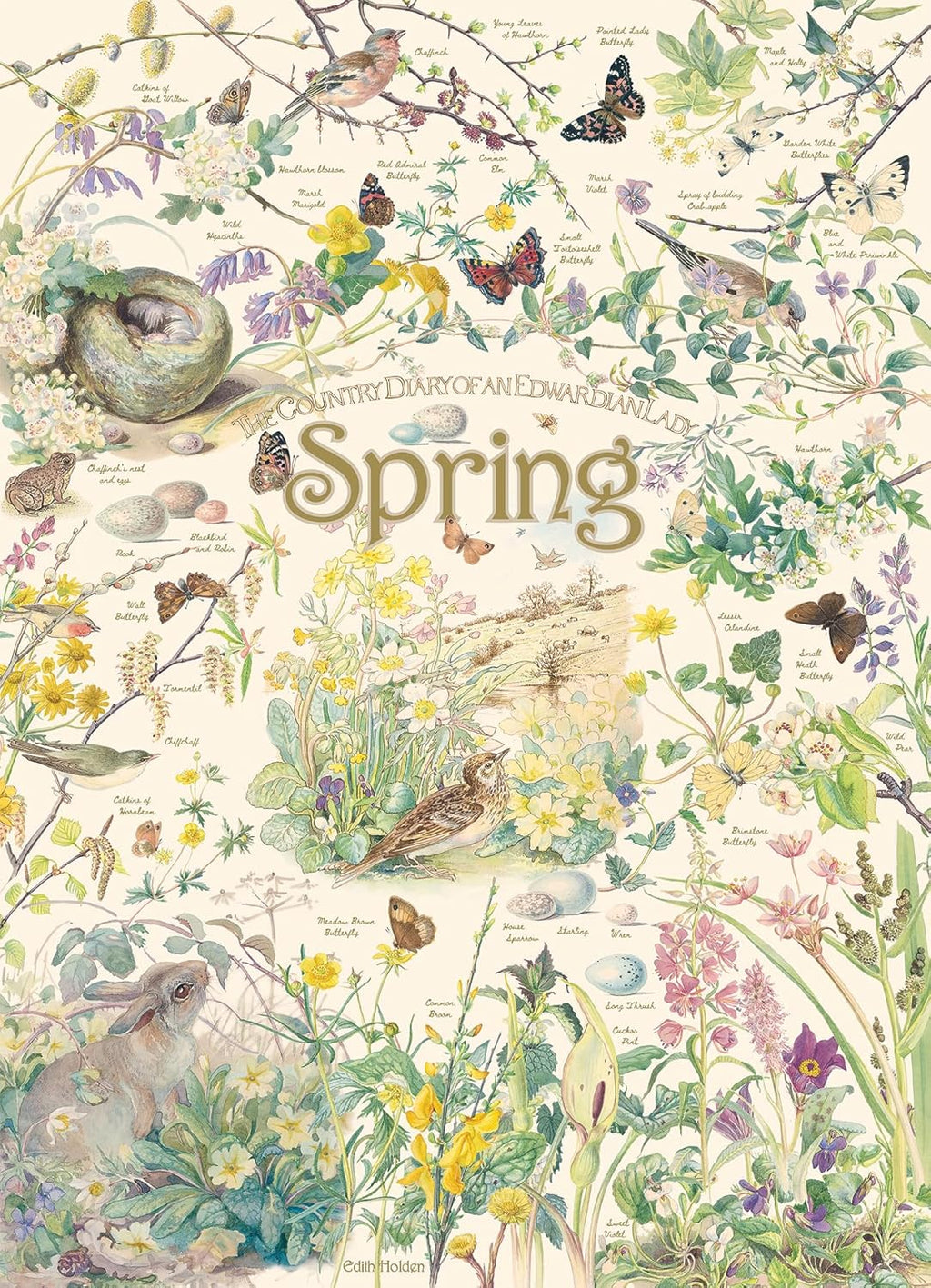 Country Diary of an Edwardian Lady: Spring - 1000 Piece Jigsaw Puzzle (Cobble Hill)