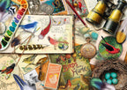Birdwatching by Aimee Stewart – 1000 Piece Jigsaw Puzzle (Schmidt)