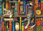 Frederick the Literate by Charles Wysocki – 1000 Piece Jigsaw Puzzle (Schmidt)