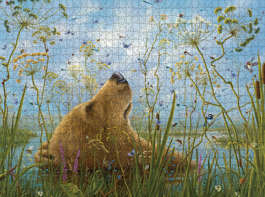 Made up: The Whole World by Robert Bissell – 1000 Piece Jigsaw Puzzle (Pomegranate)