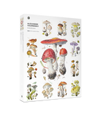 Mushrooms by Alexander Viazmensky – 1000 Piece Jigsaw Puzzle (Pomegranate)