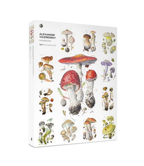 Mushrooms by Alexander Viazmensky – 1000 Piece Jigsaw Puzzle (Pomegranate) - Completed Puzzle