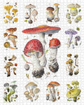 Mushrooms by Alexander Viazmensky – 1000 Piece Jigsaw Puzzle (Pomegranate)