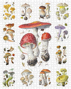 Mushrooms by Alexander Viazmensky – 1000 Piece Jigsaw Puzzle (Pomegranate)