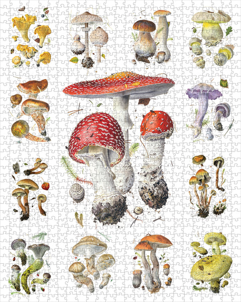 Mushrooms by Alexander Viazmensky – 1000 Piece Jigsaw Puzzle (Pomegranate)