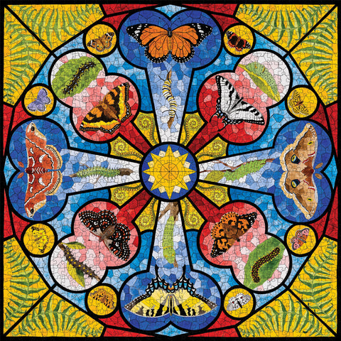 Made up: Butterfly Rose Window by David Cohen - 1000 Piece Jigsaw Puzzle (Pomegranate)