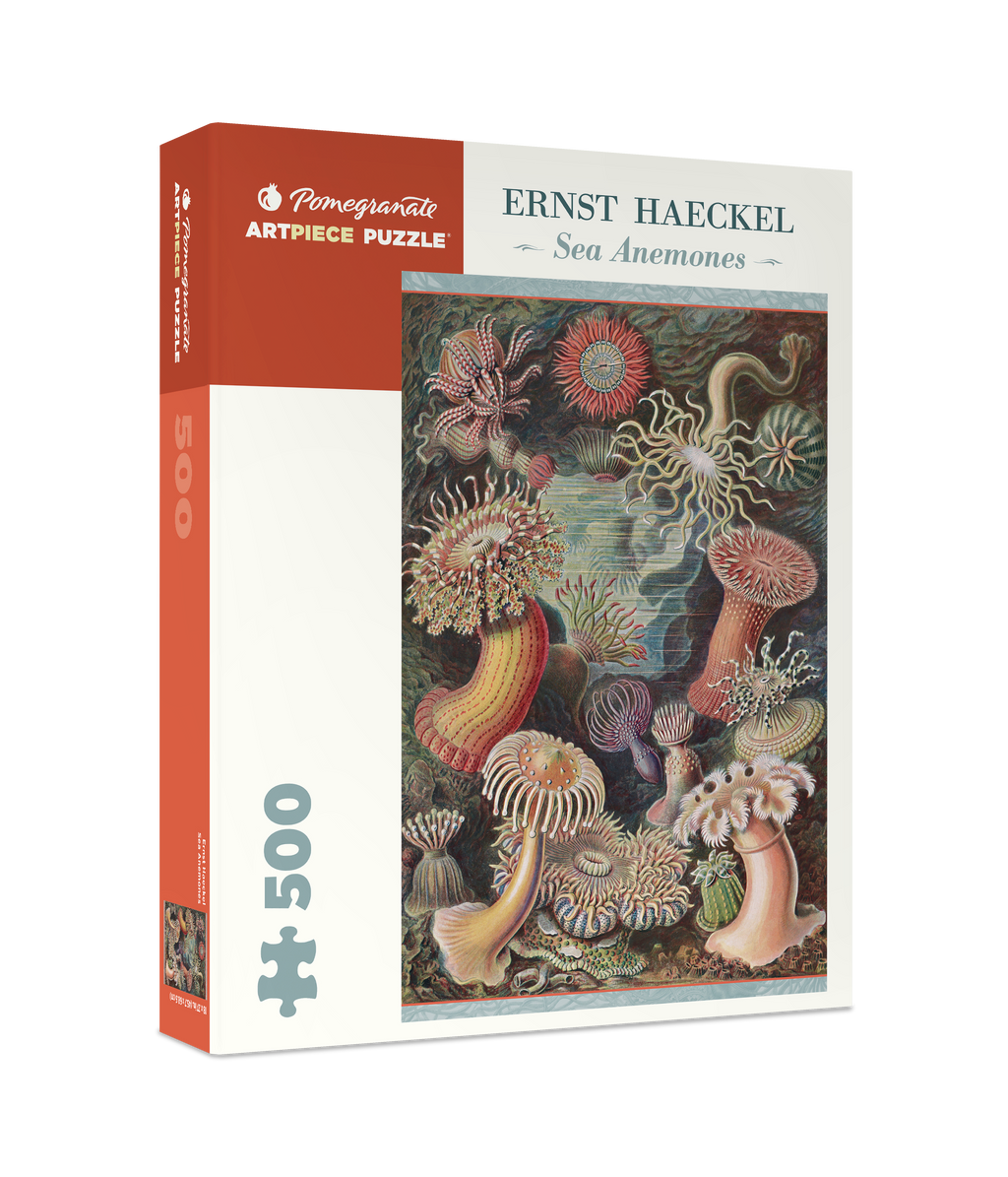 Box, turned right: Sea Anemones by Ernst Haeckel – 500 Piece Jigsaw Puzzle (Pomegranate)