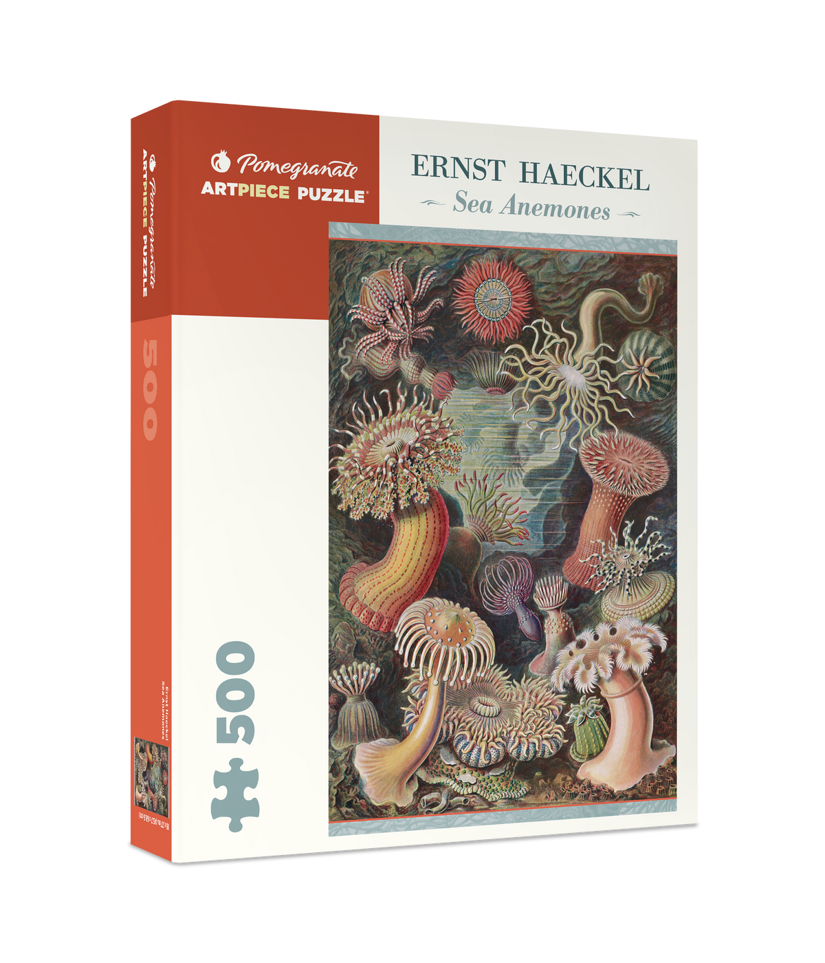 Box, turned right: Sea Anemones by Ernst Haeckel – 500 Piece Jigsaw Puzzle (Pomegranate)