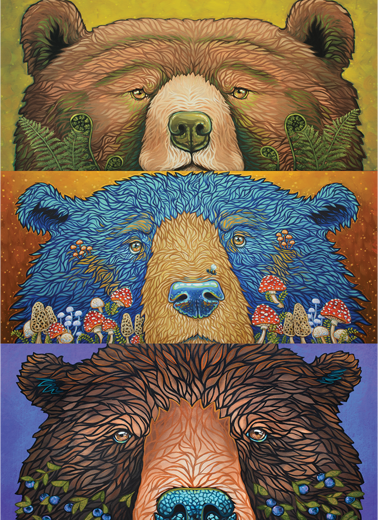 Bear Eyes: Harvest – 500 Piece Jigsaw Puzzle (Cobble Hill)