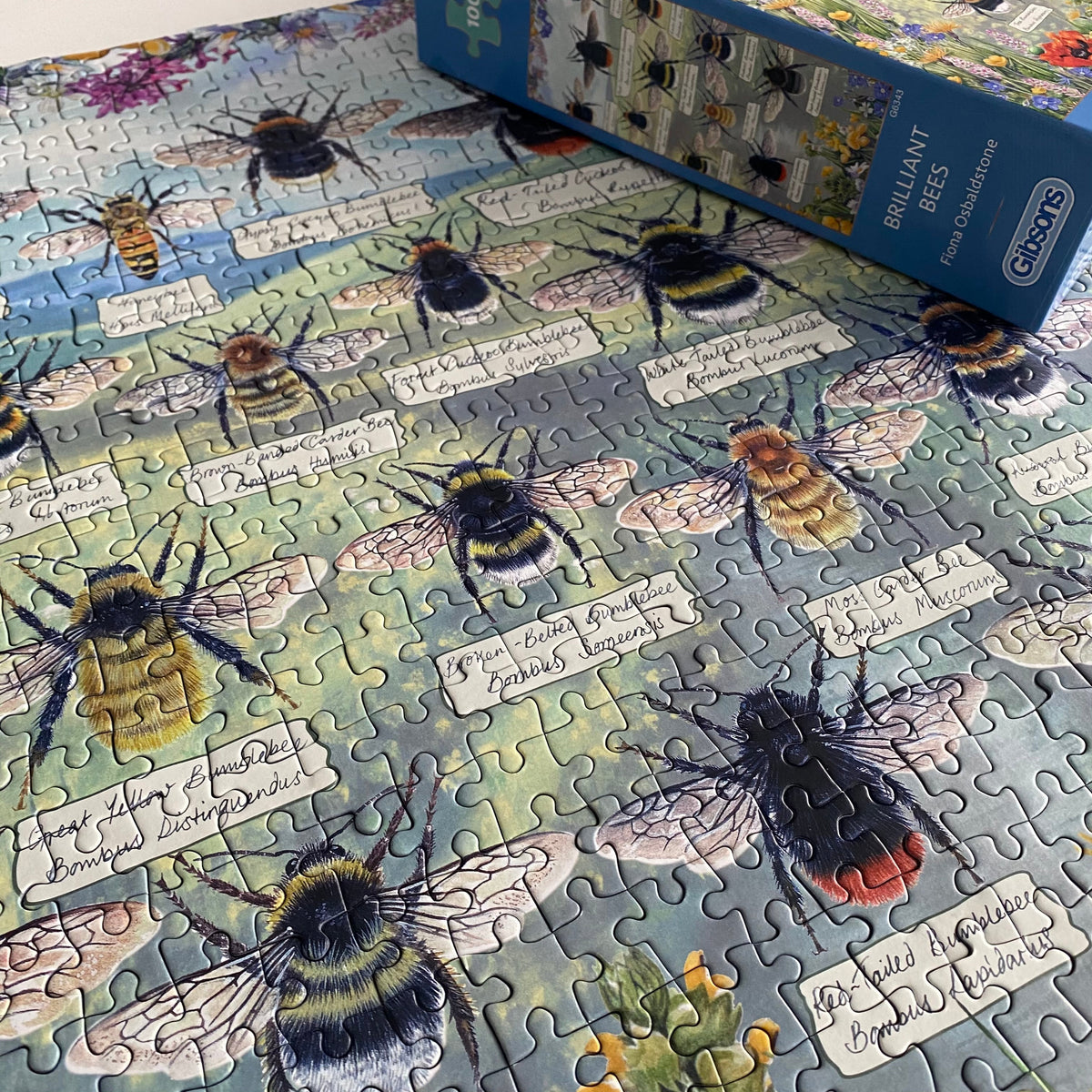 In use: Brilliant Bees – 1000 Piece Jigsaw Puzzle (Gibsons)
