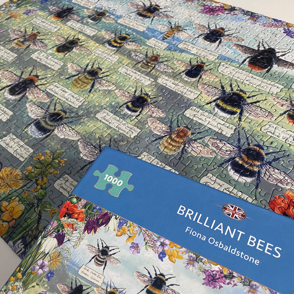 In use: Brilliant Bees – 1000 Piece Jigsaw Puzzle (Gibsons)