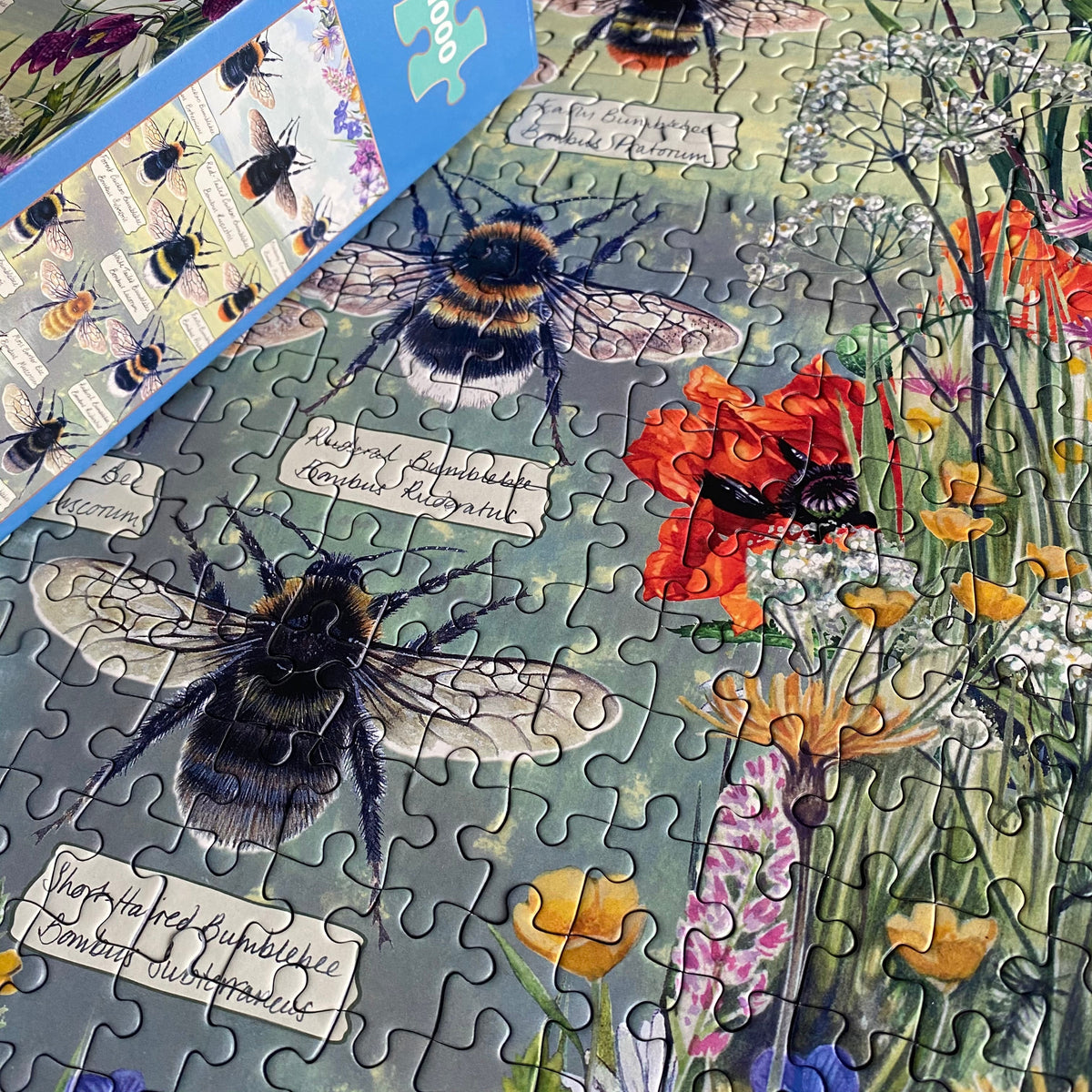 In use: Brilliant Bees – 1000 Piece Jigsaw Puzzle (Gibsons)