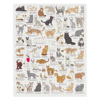 Cat Lover's Jigsaw – 1000 Piece Jigsaw Puzzle (Ridley's Games)