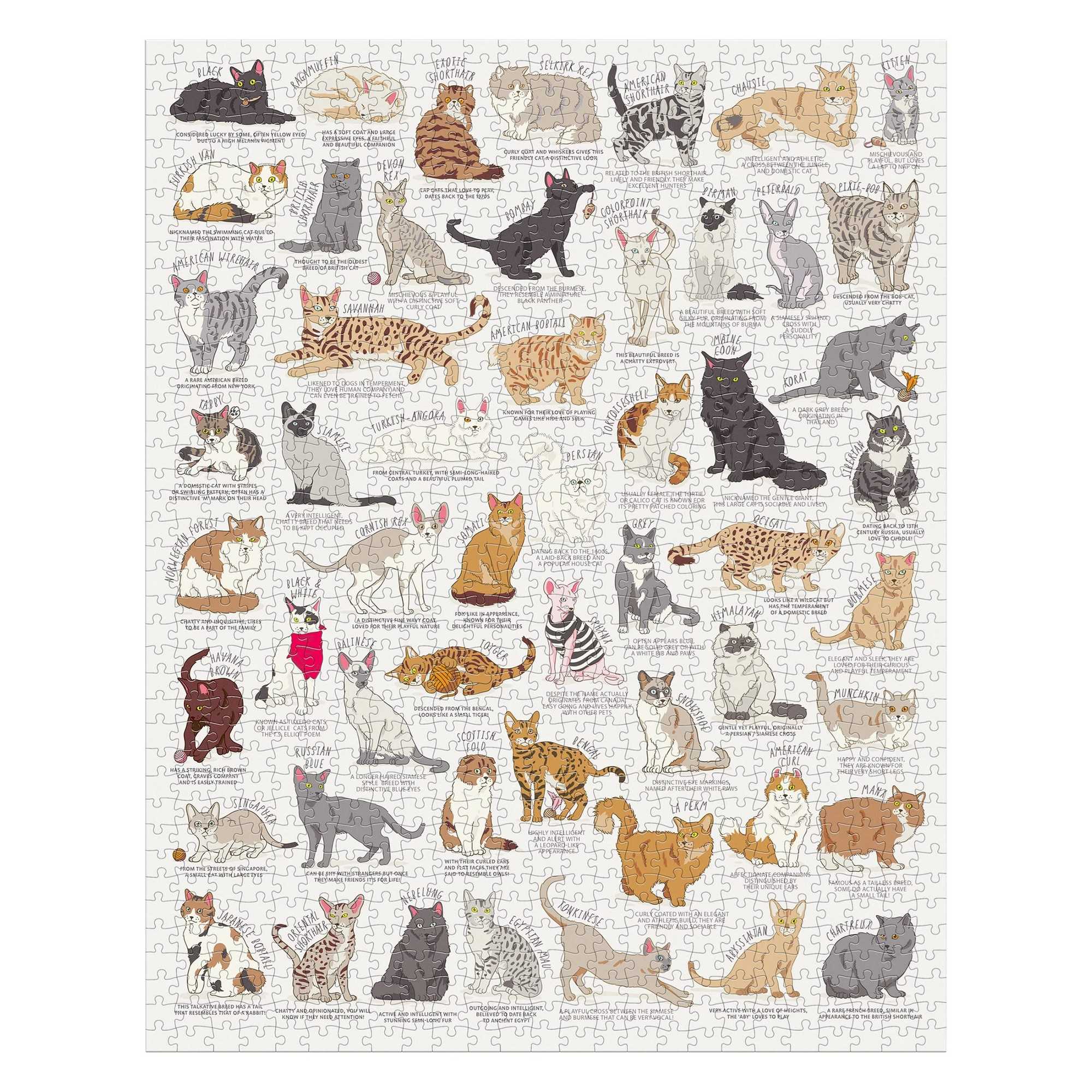 Cat Lover's Jigsaw – 1000 Piece Jigsaw Puzzle (Ridley's Games)