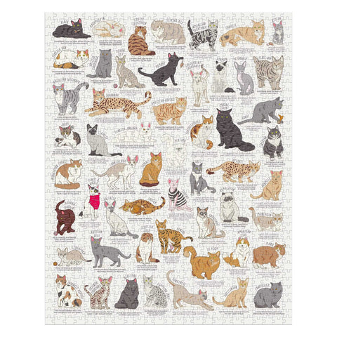 Cat Lover's Jigsaw – 1000 Piece Jigsaw Puzzle (Ridley's Games)