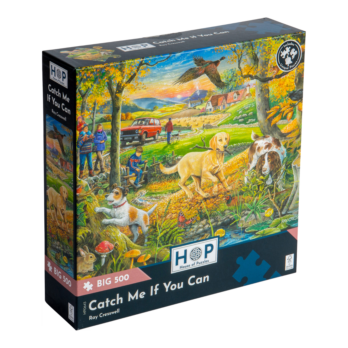 Box, turned right: Catch Me If You Can – 500 Piece Jigsaw Puzzle (House of Puzzles)