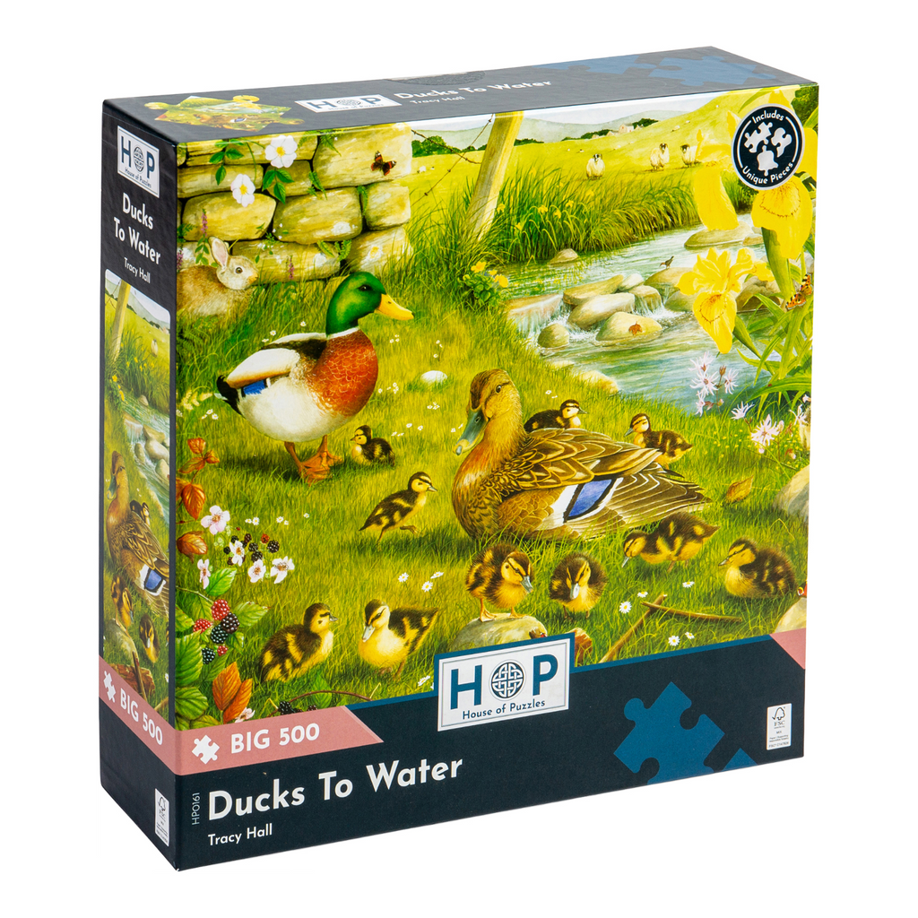 Box, turned right: Ducks To Water – Big 500 Piece Jigsaw Puzzle (House of Puzzles)