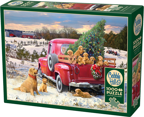 Family Outing – 1000 Piece Jigsaw Puzzle (Cobble Hill)