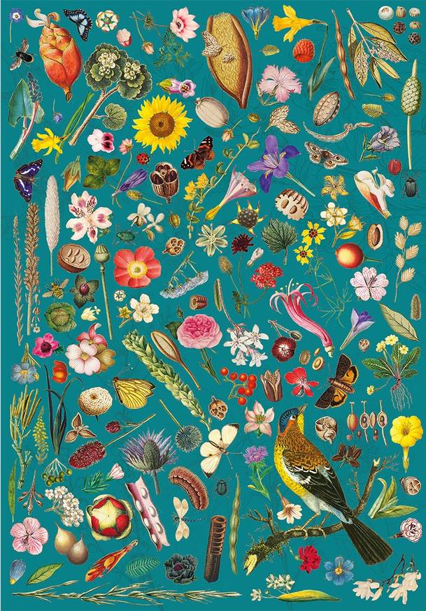 Floral Fantasy – 500 Piece Jigsaw Puzzle (Gibsons)