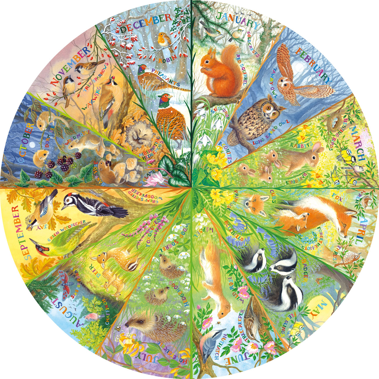 National Trust: A Year in the Forest - 500 Piece Circular Jigsaw Puzzle (Gibsons)