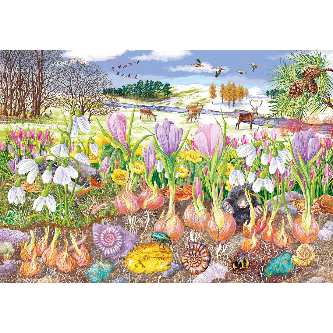 Roots & Shoots by Janice Daughters - 4 x 500 Piece Jigsaw Puzzle (Gibsons)
