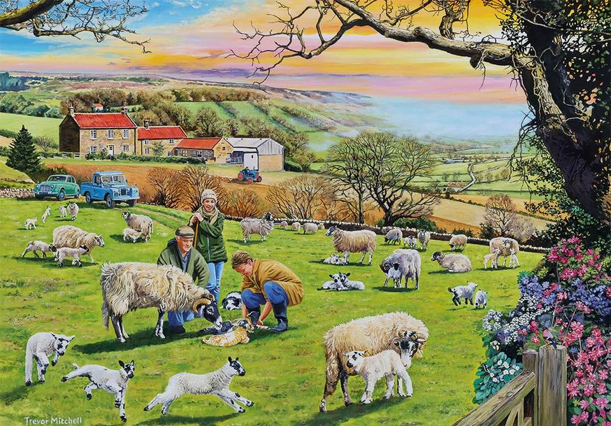 Call the Vet – 4 x 500 Piece Jigsaw Puzzle (Gibsons)