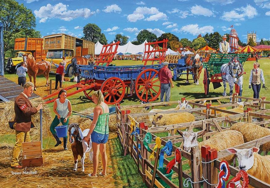 Call the Vet – 4 x 500 Piece Jigsaw Puzzle (Gibsons)