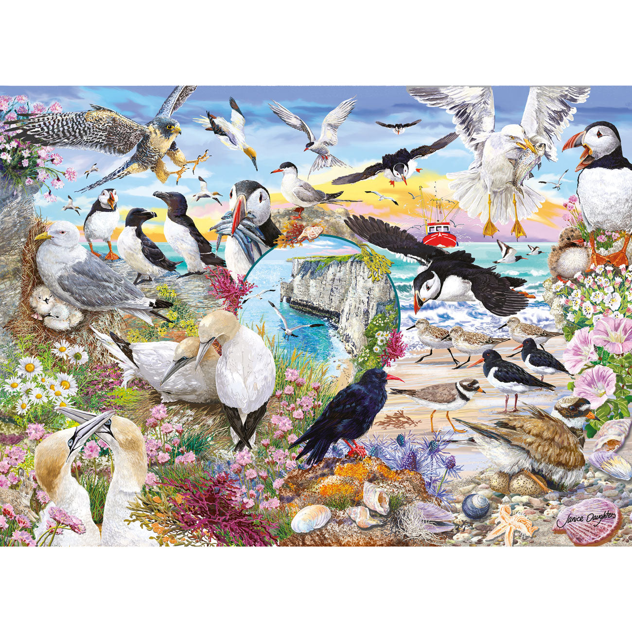 RSPB: Wings in the Wild - 4 x 500 Piece Jigsaw Puzzles (Gibsons)