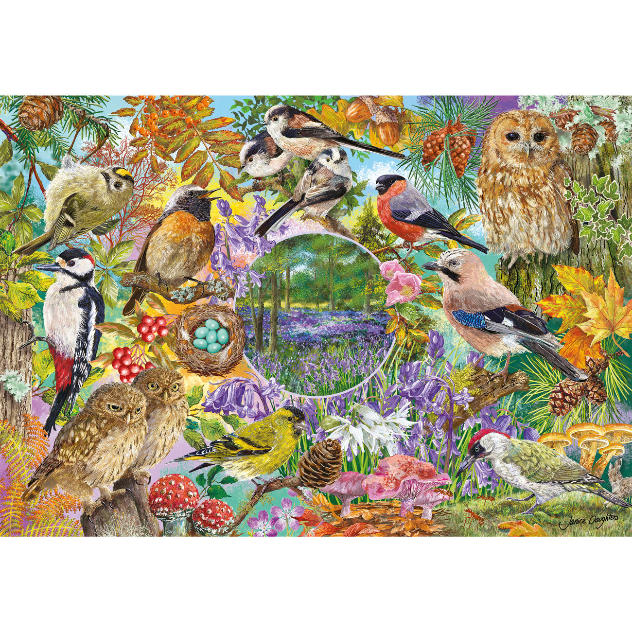 RSPB: Wings in the Wild - 4 x 500 Piece Jigsaw Puzzles (Gibsons)