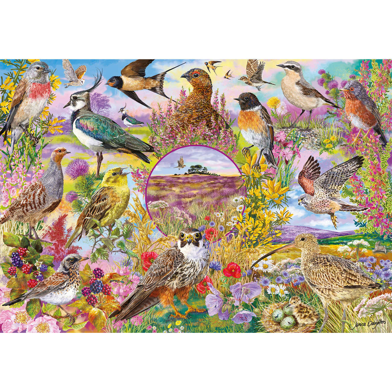 RSPB: Wings in the Wild - 4 x 500 Piece Jigsaw Puzzles (Gibsons)