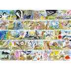 Birdsong & Bluebells – 1000 Piece Jigsaw Puzzle (Gibsons)