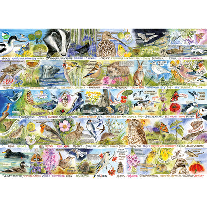 Gibsons - RSPB: Birdsong & Bluebells - 1000 Piece Jigsaw Puzzle