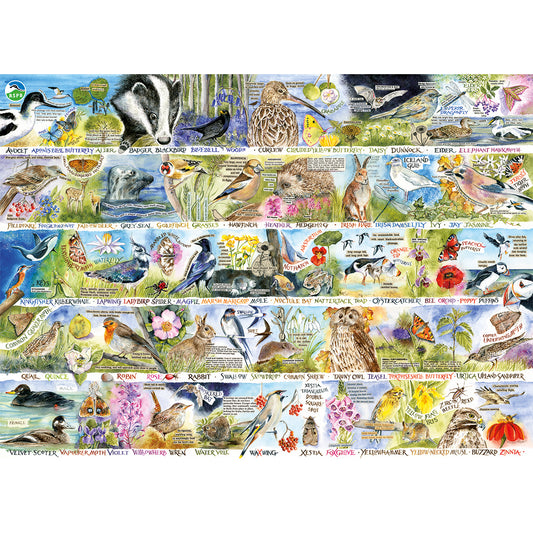 ** Pre-Order ** Gibsons - RSPB: Birdsong & Bluebells - 1000 Piece Jigsaw Puzzle