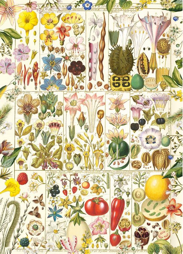 Botanical Bliss – 1000 Piece Jigsaw Puzzle (Gibsons)
