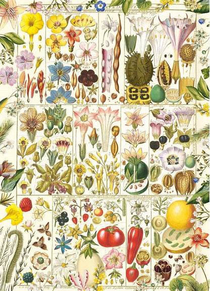 Gibsons - RHS: Botanical Bliss - 1000 Piece Jigsaw Puzzle