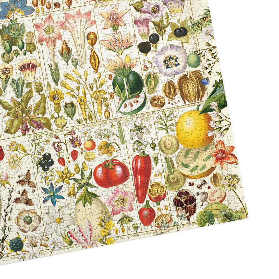 Puzzle in progress: Botanical Bliss – 1000 Piece Jigsaw Puzzle (Gibsons)