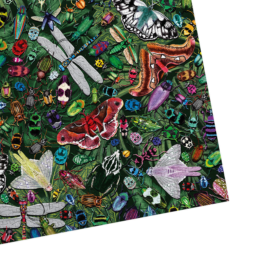 Puzzle in progress: Winged Creatures – 1000 Piece Jigsaw Puzzle (Gibsons Art File)