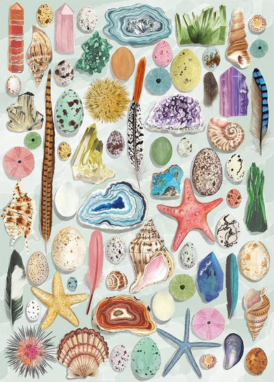 Natural Curiosities – 1000 Piece Jigsaw Puzzle (Gibsons Art File)