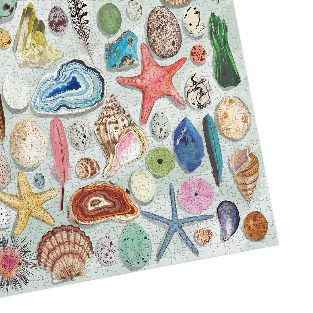Puzzle in progress: Natural Curiosities – 1000 Piece Jigsaw Puzzle (Gibsons Art File)