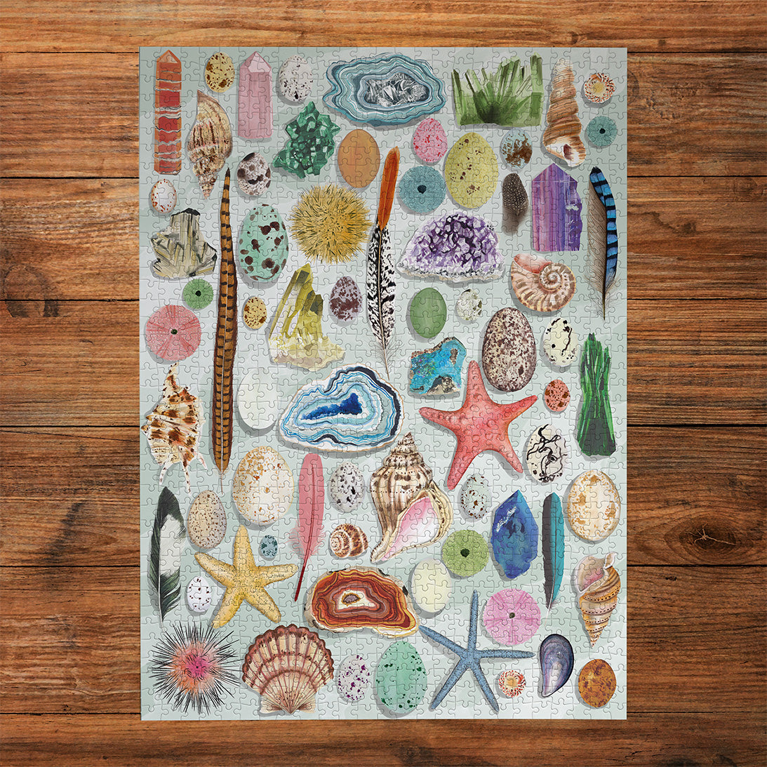 Made up: Natural Curiosities – 1000 Piece Jigsaw Puzzle (Gibsons Art File)
