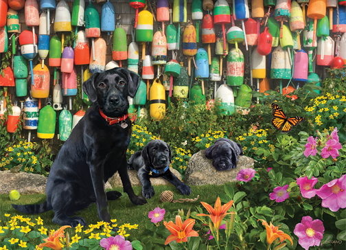 Good Buoys – 500 Piece Jigsaw Puzzle (Cobble Hill)